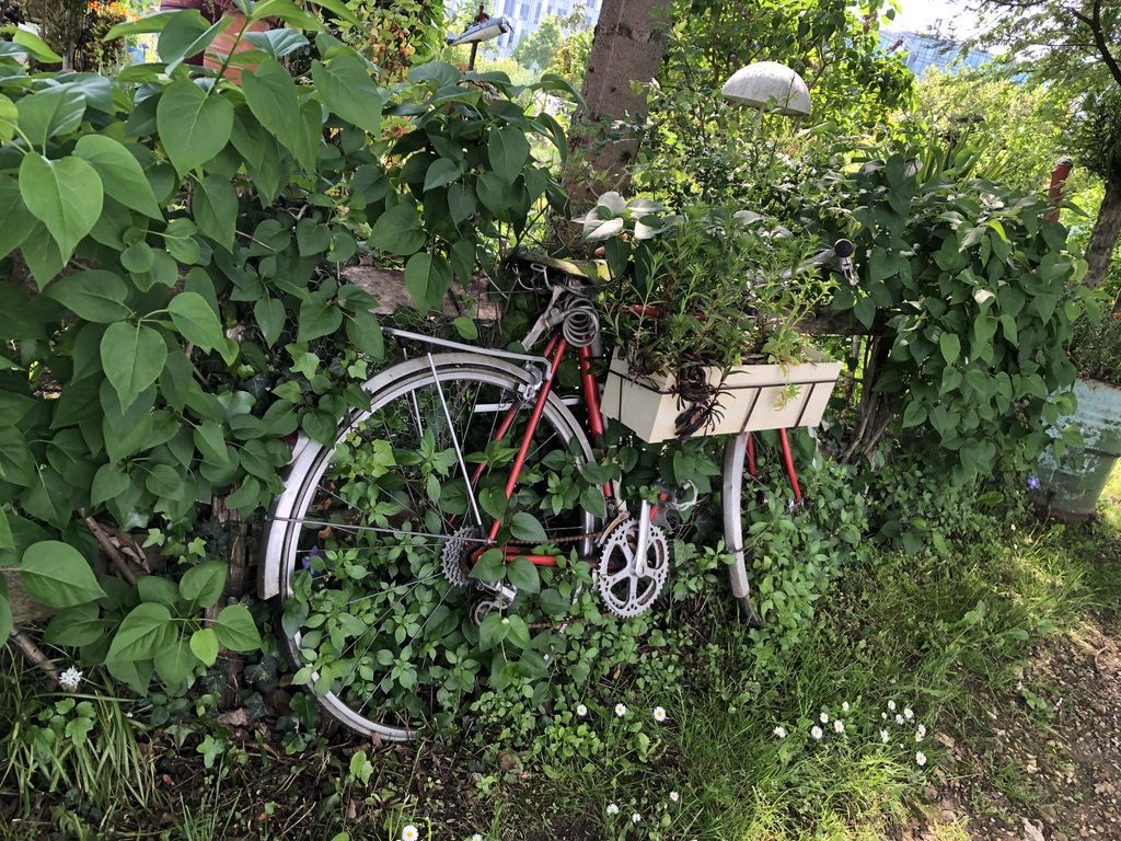 Atelier de co-réparation vélo 1